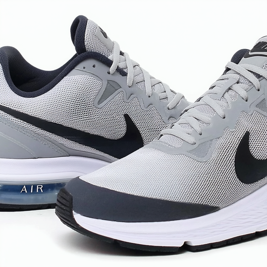 Nike Men's Air Max Go Strong Essential Silver/Anthracite/Drk Gry/PHT Bl Running Shoe 10 Men US