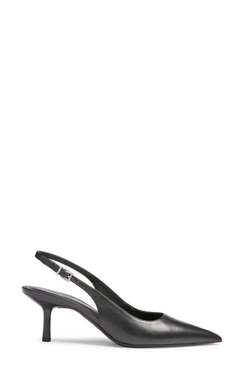 Liza Slingback Pointed Toe Pump