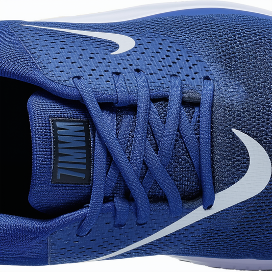 Nike Men's Flex Contact Running Shoes (10 D(M), Gym Blue/White-Binary Blue)