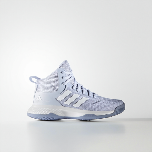 adidas NEO Women's Bbadidas Performance Raleigh Mid W Basketball Fashion Sneaker