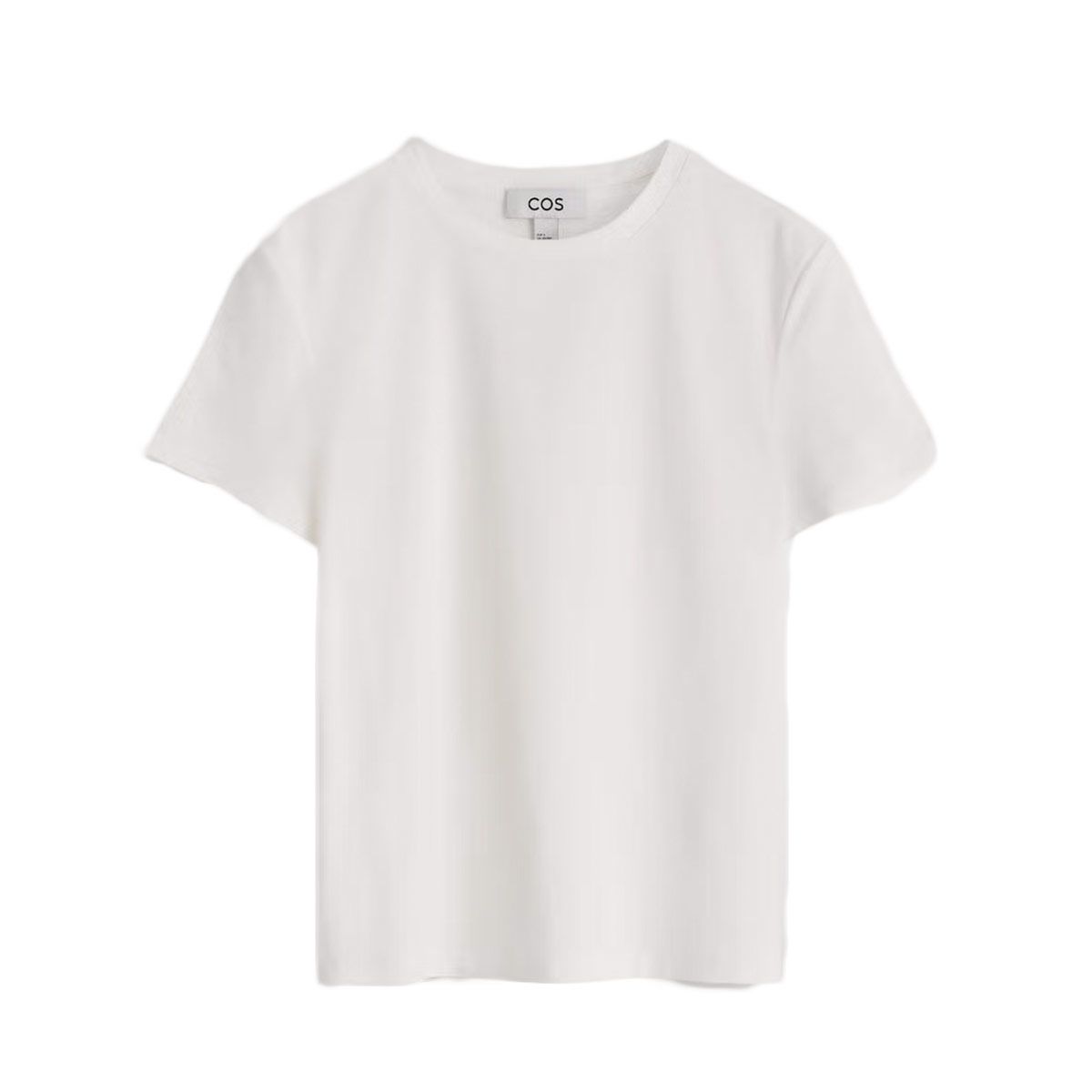 Shrunken T-Shirt