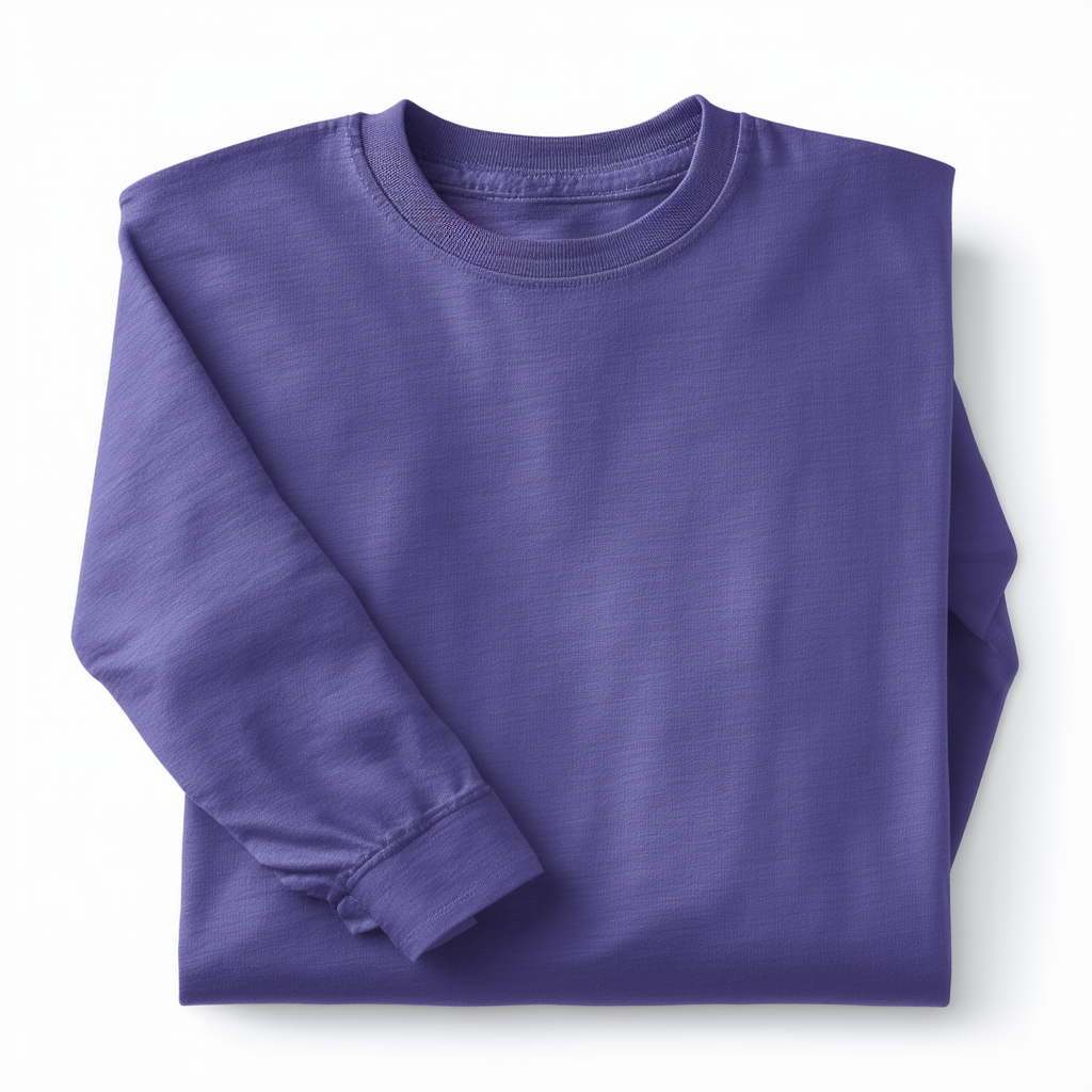 Hanes 6.1 oz. Long-Sleeve Beefy-T, Medium, PURPLE