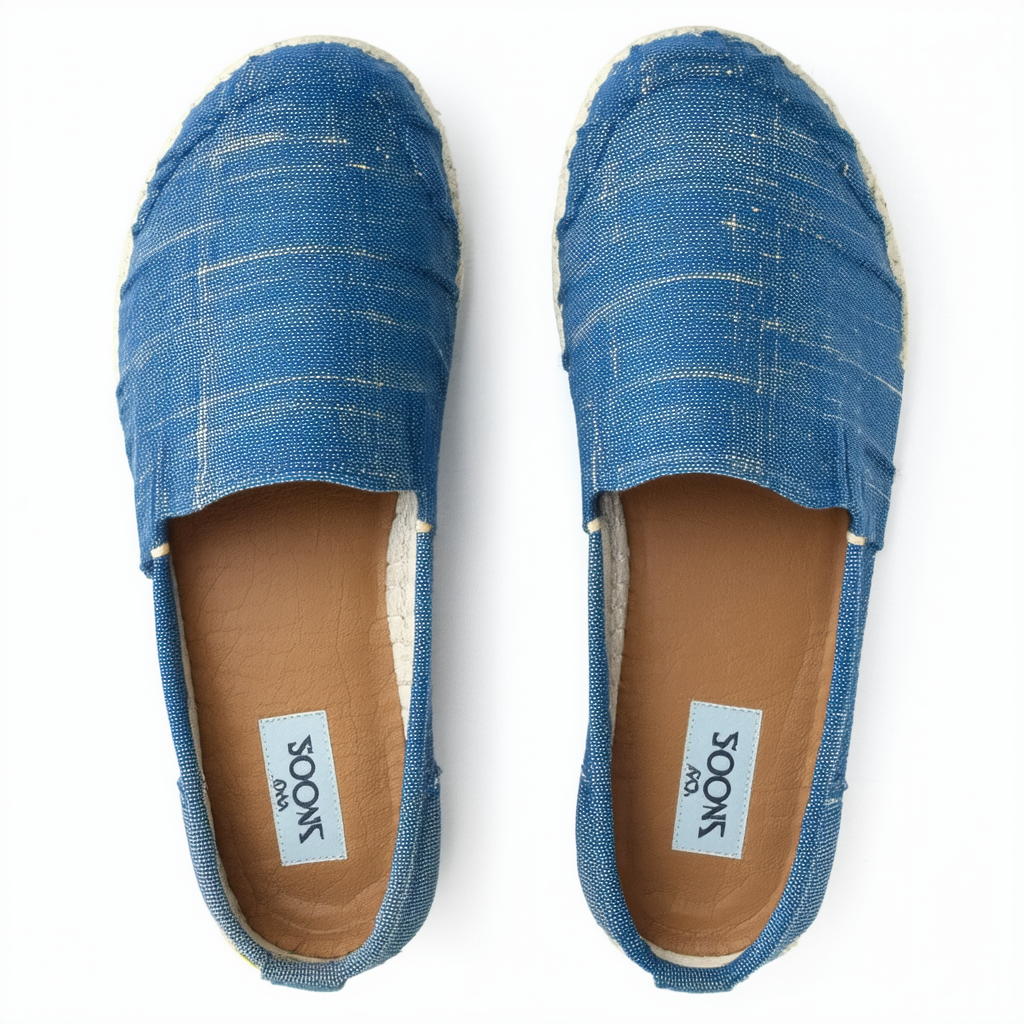 TOMS Classic Blue Aster Multi Space Dye Canvas Slip