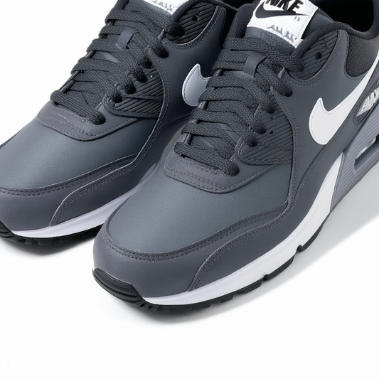 Nike Air Max 90 Essential Men's Shoes Anthracite/Wolf Grey/White aj1285-005 (8.5 D(M) US)